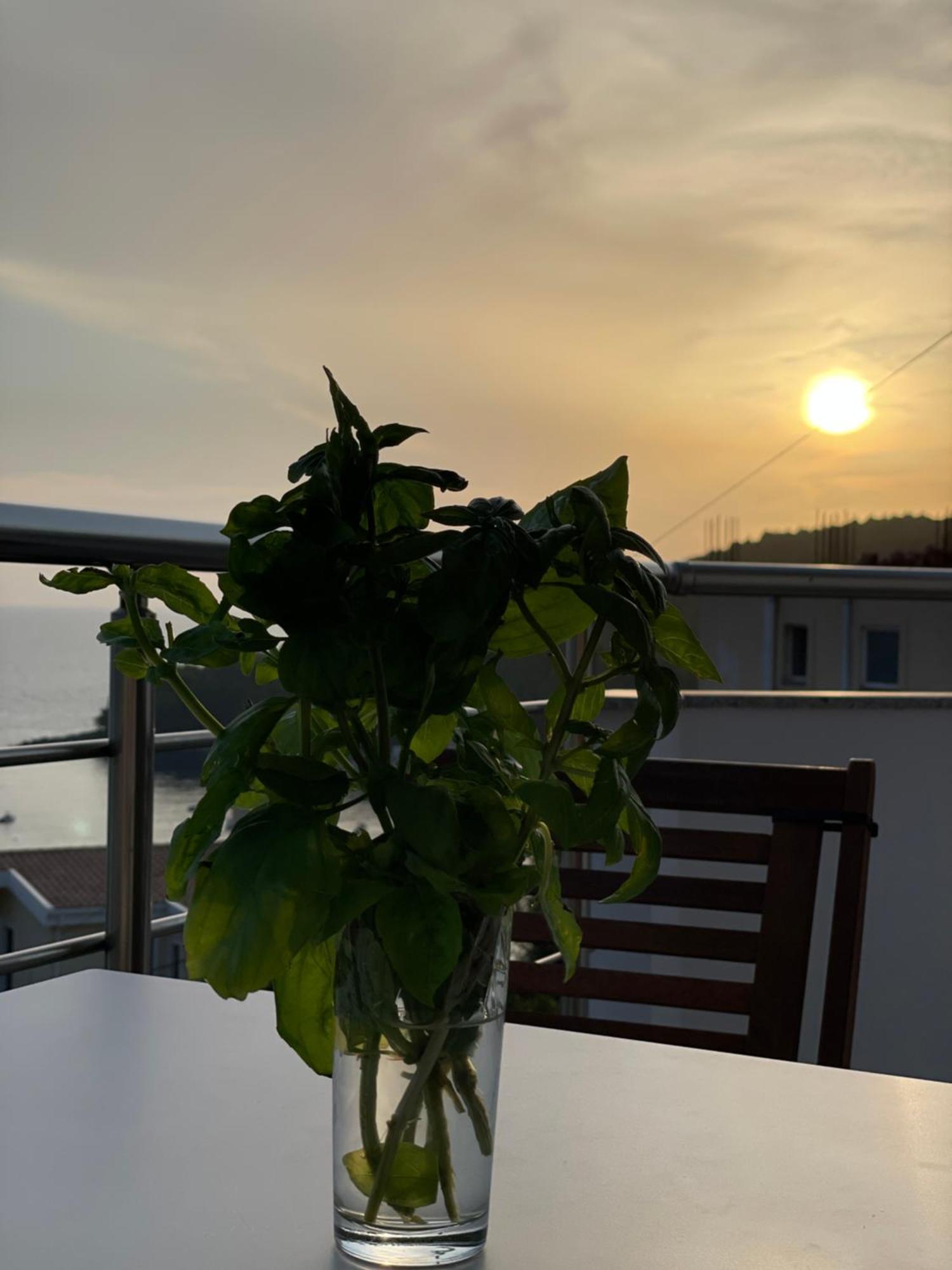 Tasos Rooms Himara Zewnętrze zdjęcie