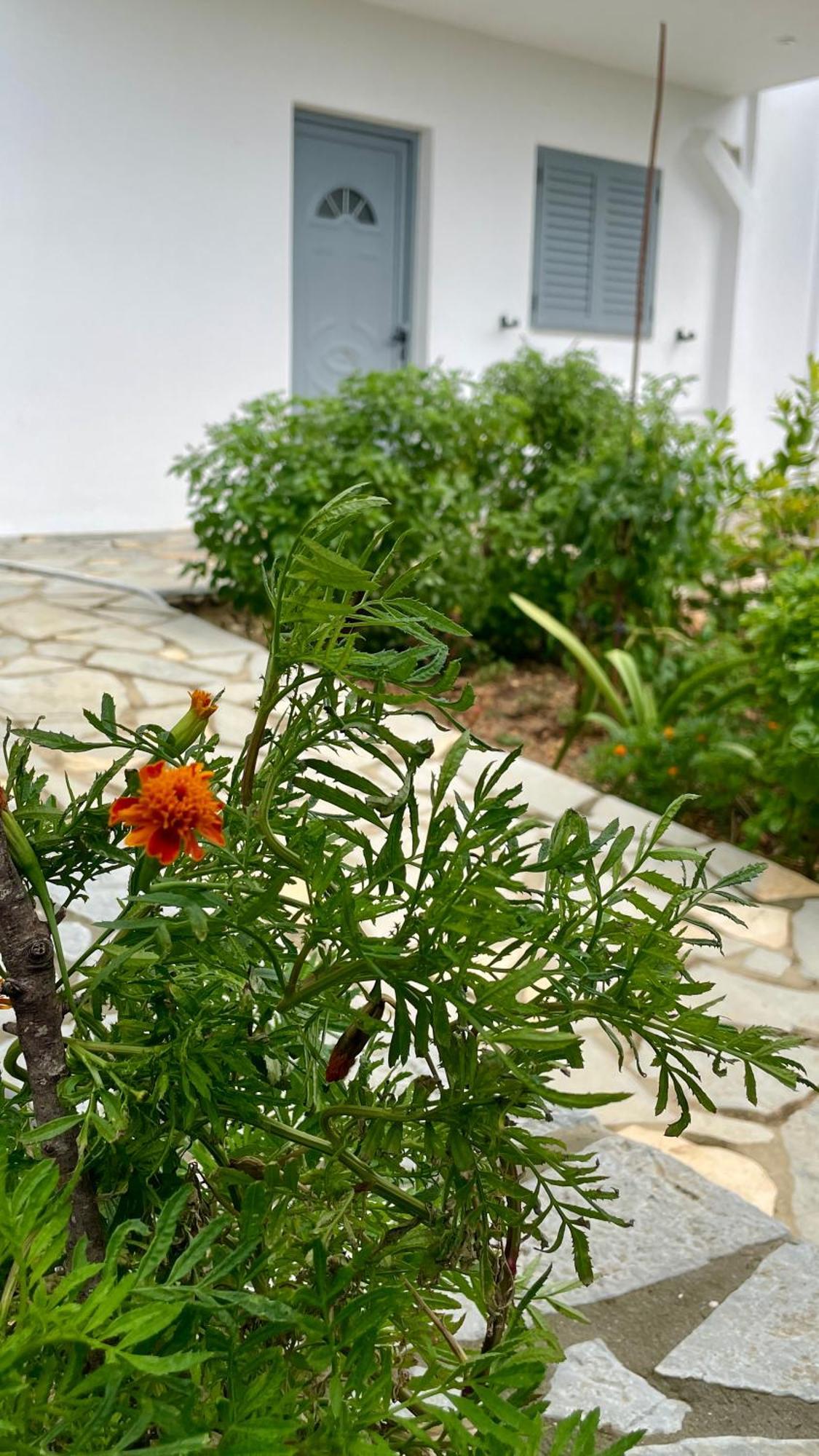 Tasos Rooms Himara Zewnętrze zdjęcie